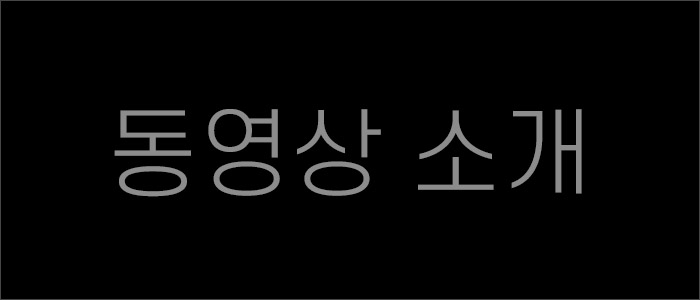 성인용품 동영상 소개